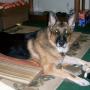 Susan Sisk Photo 23