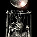 Sherry Black Photo 13