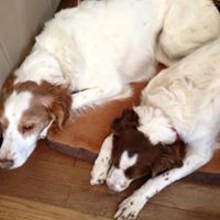Debra Schuster Photo 11