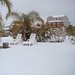 Loretta Winters Photo 12