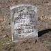 Roger Cooley Photo 18