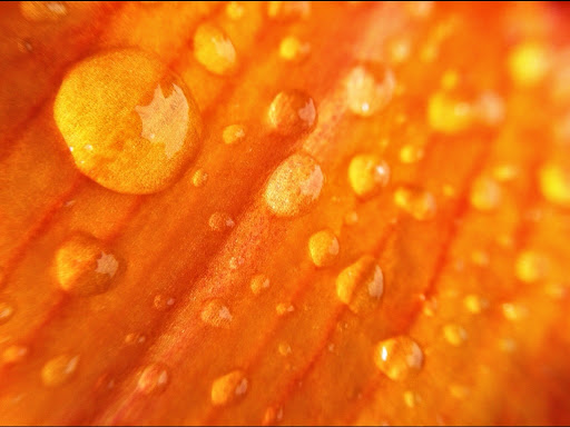 Andrew Howes Photo 30