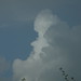 Jimmie Beard Photo 6