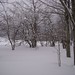 Steven Grayson Photo 39