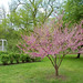 Joseph Webb Photo 34