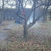 Laura Chaney Photo 31