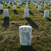 Matthew Phillips Photo 58