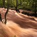 Roger Roscoe Photo 11