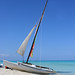 Michele Cuba Photo 10