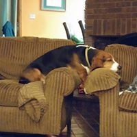 Christine Mccullough Photo 13