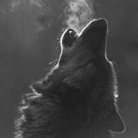Jay Wolff Photo 16