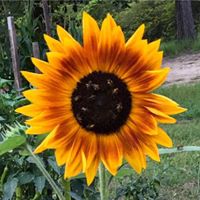 Amy Meacham Photo 27