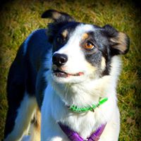 Mary Cotter Photo 36
