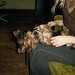 Kate Lang Photo 17