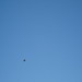 Joshua Daws Photo 10