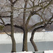 Jackie Calvert Photo 10