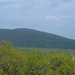 Virginia Marshall Photo 21