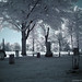 Daniel Holcomb Photo 16