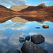 Robert Bracken Photo 13