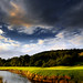 David Rios Photo 15