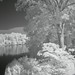 Howard Abrams Photo 12