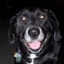 Mary Albert Photo 28
