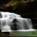 Forrest Mize Photo 3