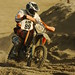 Thomas Wolter Photo 14