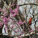 Katherine Cardinal Photo 11