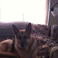 Anne Goodrich Photo 26