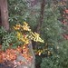 Virginia Mashburn Photo 10