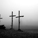 Jason Grange Photo 15