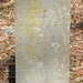 Francis Buckley Photo 11