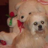 Elizabeth Calo Photo 10