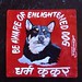 Santosh Shrestha Photo 10