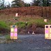 David Ballard Photo 26