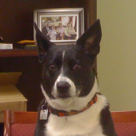 Theodore Cook Photo 4
