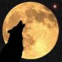 Kevin Sandler Photo 15