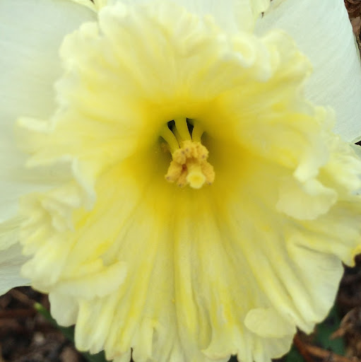 Brenda Wood Photo 17