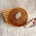 Debbie Shell Photo 22