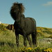 Tina Ross Photo 16