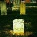 Joshua Young Photo 27