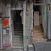 Shing Wong Photo 29