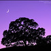 Gary Moon Photo 25