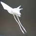 Brian Engel Photo 22