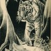 Richard Lathrop Photo 34