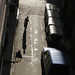 David Solan Photo 6