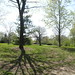 Ann Scheffler Photo 7