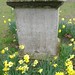 Mary Godwin Photo 12