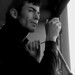 Matthew Fellows Photo 15